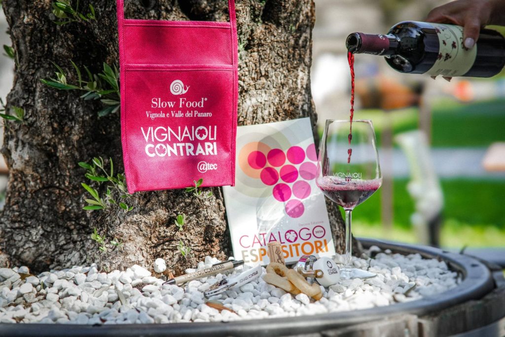 Partner digitali per il 10° anno di Vignaioli Contrari immagine decorativa